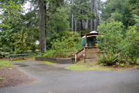 Campgrounds at Honeyman State Park