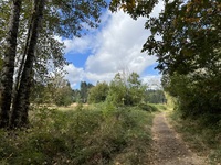 Trail at Milo McIver State Park