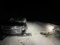 Snowmobile Crash