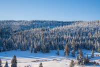 Buck Prairie Winter Trail System in Cascade Siskiyou National Monument  covered in fresh snow. BLM photo.