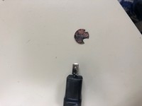 Penny damaged by TikTok Challenge