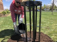 A volunteer waters a newly planted Hiroshima peace tree at Redmond City Hall. Redmond and Bend were two of 30 Oregon communities planting seedlings grown from seeds of trees that survived the atom bombing of Hiroshima 75 years ago this week.