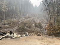 Hillside near Estacada burned in Riverside Fire (9/17/2020)