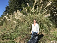 Dr. Alice Yates helps to remove pampas grass from South Slough Reserve