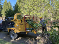 Douglas Forest Protective Association crews completing fuels reduction within the Watson Mountain Firewise community near Glide.  Funding for this project was part of the $5 million the Oregon Department of Forestry was given by the E-Board to reduce wild