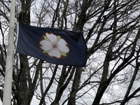 A dogwood flower adorns the flag of Milwaukie, Oregon Tree City USA for 2021. Milwaukie and 68 other Oregon Tree City USA communities are highlighted in a newonline storymap on the created by the Oregon Department of Forestry.