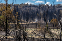 More than 800,000 acres across all jurisdiction burned in the fire season just ended. While fewer acres than in 2020, the burned area is well above the 10-year average for the state.