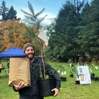 Plant a Free Tree with Help from Vancouver Urban Forestry