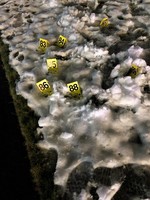 Evidence markers in snow