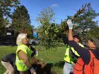 People and organizations making a difference for Oregon's urban trees are ideal candidates for nominating for the annual urban forestry awards program. Online nominations are due Feb. 15 to Oregon Community Trees.