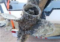 Quagga mussel motorboat propeller contamination