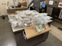 Photo of Seized Narcotics