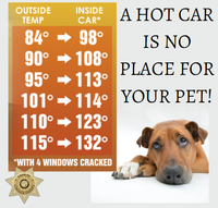Hot_Car_is_No_Place_For_Pets.PNG