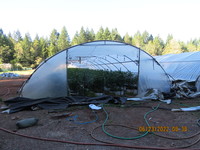 Oregon State Police SW Region Drug Enforcement Team makes illegal marijuana bust-Josephine County (Photo)