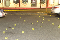 Evidence Placards for Bullet Casings