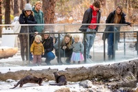 Visitors at Autzen Otter Exhibit, Photo by Jason Quigley