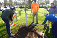 Commissioners Rocky Smith and Adam Marl plant a tree at Chapin Park at a prior tree planting event.