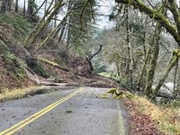 A two-lane paved road in Lobster Valley is completely blocked by a landslide of mud and downed fir trees.