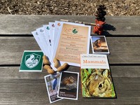 Create a playdough squirrel with a unique tail, learn about squirrel behavior through outdoor games, and discover more about these furry wildlife neighbors with the Squirrels Are Everywhere kit.