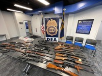 37 firearms seized