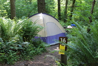 Campsite at L.L. Stub Stewart State Park