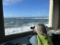 Volunteer looking for whales at the Whale Watch Center in Depoe Bay