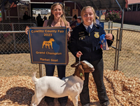 Wright takes 1st place at Cowlitz County Fair