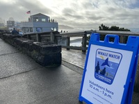 Whale Watch Center outside