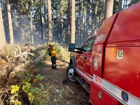 Molalla Fire responding to a call in 2023 with staff funded from last year's grant