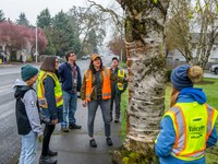 Vancouver's urban forest program leading a tree tour