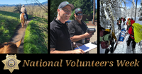 National_Volunteers_Week_Banner.png